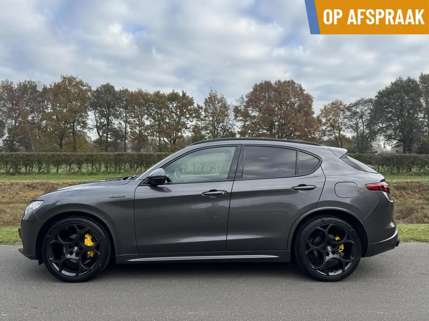 Alfa Romeo Stelvio 2.0t Q4 Veloce 280pk, panodak, 21 inch! Gris - 1
