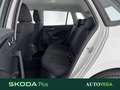 Skoda Kamiq 1.0 tsi ambition 110cv Bianco - thumbnail 9