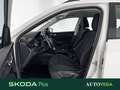 Skoda Kamiq 1.0 tsi ambition 110cv Bianco - thumbnail 7