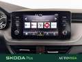 Skoda Kamiq 1.0 tsi ambition 110cv Bianco - thumbnail 14