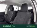 Skoda Kamiq 1.0 tsi ambition 110cv Bianco - thumbnail 8