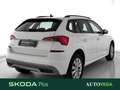 Skoda Kamiq 1.0 tsi ambition 110cv Bianco - thumbnail 3
