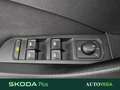 Skoda Kamiq 1.0 tsi ambition 110cv Bianco - thumbnail 11