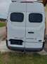Ford Transit Bus Transit Minibus 2,2 TDCi L2H2 350 Ambiente Ambiente Weiß - thumbnail 3