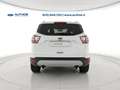 Ford Kuga 1.5 tdci Titanium Business s&s 2wd 120cv Blanc - thumbnail 6