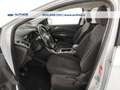 Ford Kuga 1.5 tdci Titanium Business s&s 2wd 120cv Blanc - thumbnail 17