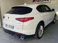 Alfa Romeo Stelvio 2.2 Turbodiesel 210 CV AT8 Q4 veloce Bianco - thumbnail 5