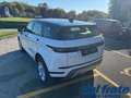 Land Rover Range Rover Evoque 2.0D I4 163Cv D165 AWD Auto R-Dynamic S Bianco - thumbnail 3