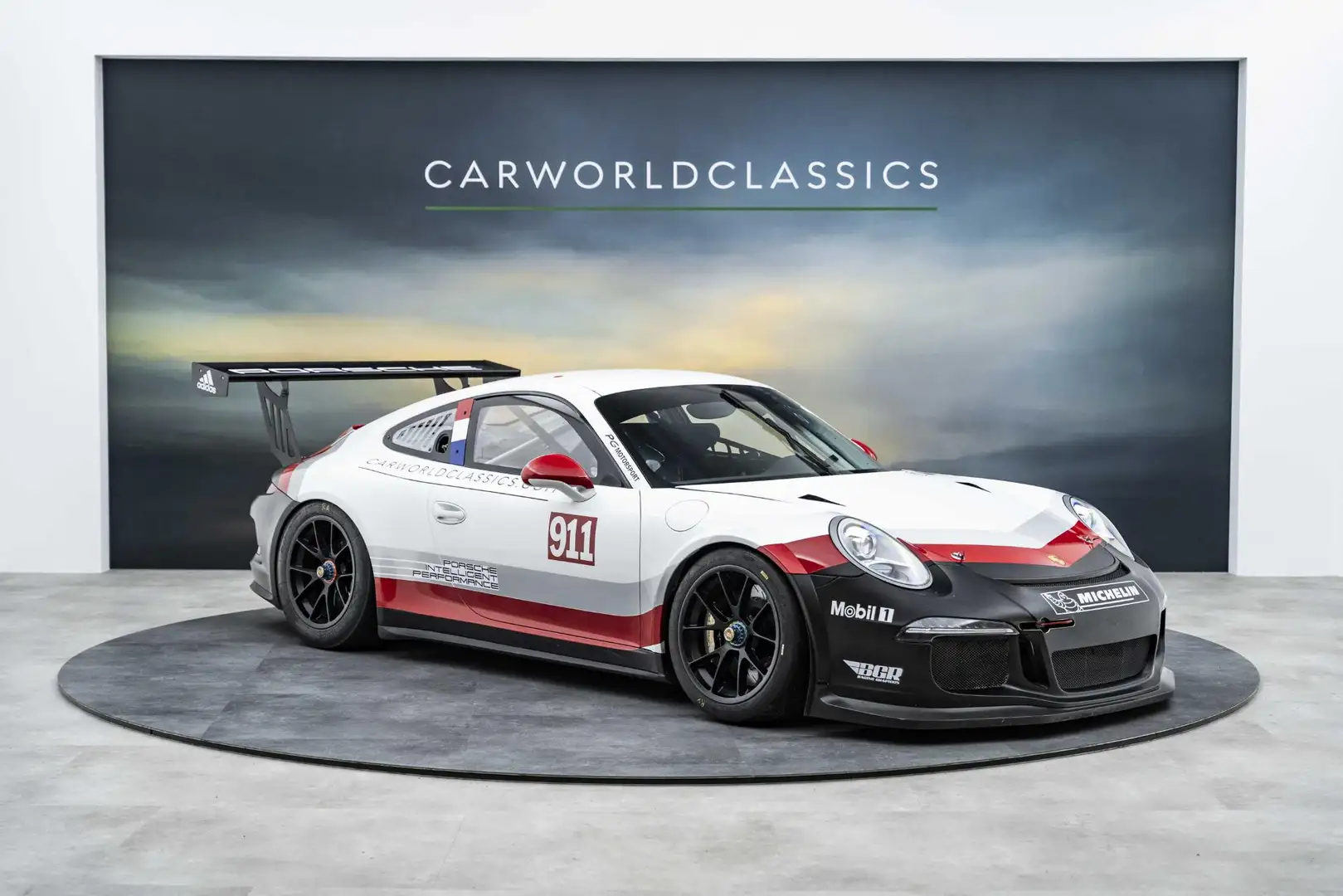 Porsche 991 991.1 GT3 CUP | RACE CAR PORSCHE MOTORSPORT - 1
