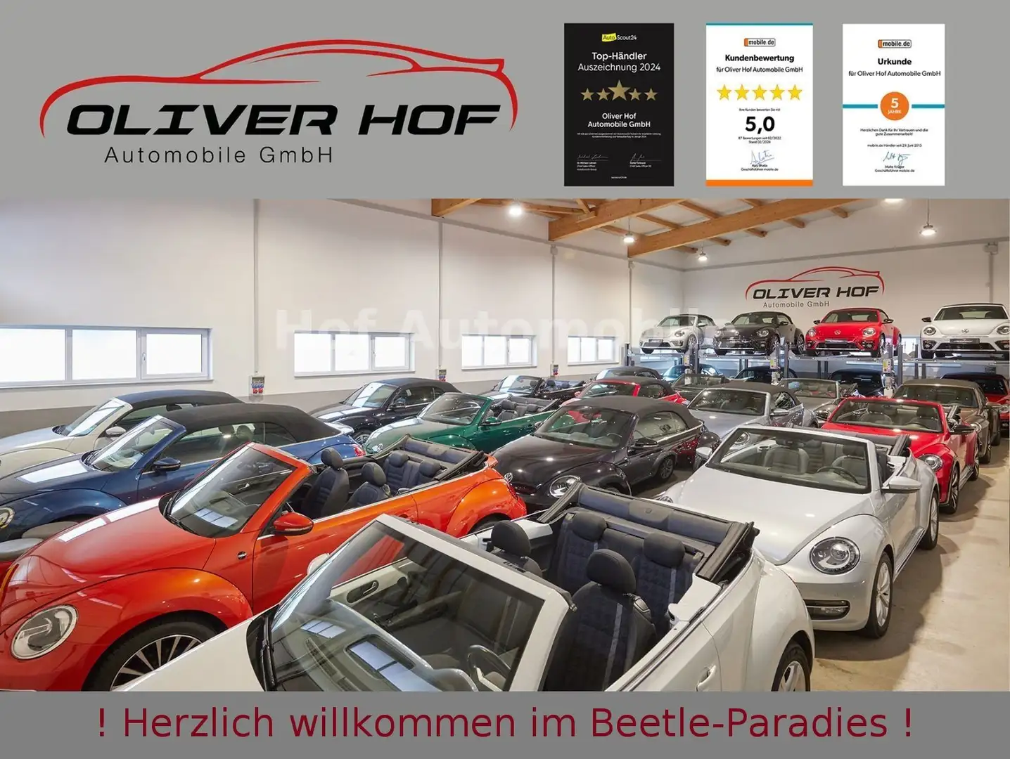 Volkswagen Beetle 2.0TSI DSG R-Line Pano. Leder Xenon AppCo Weiß - 2