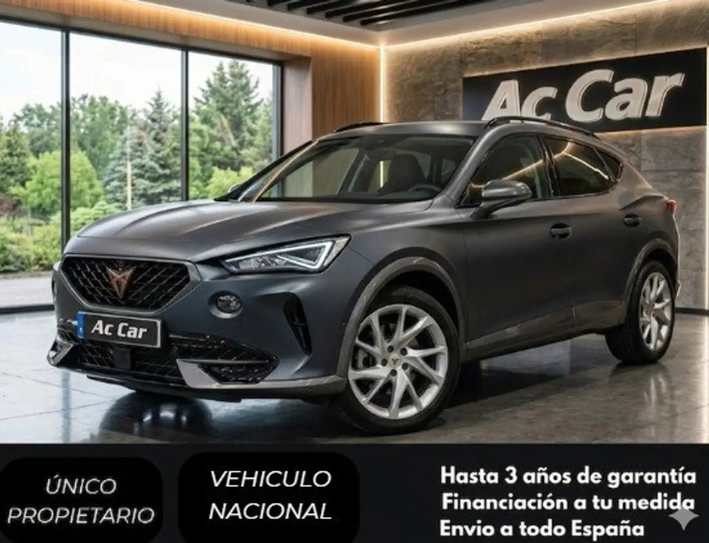 CUPRA Formentor 1.4 e-Hybrid 205 DSG Gris - 1