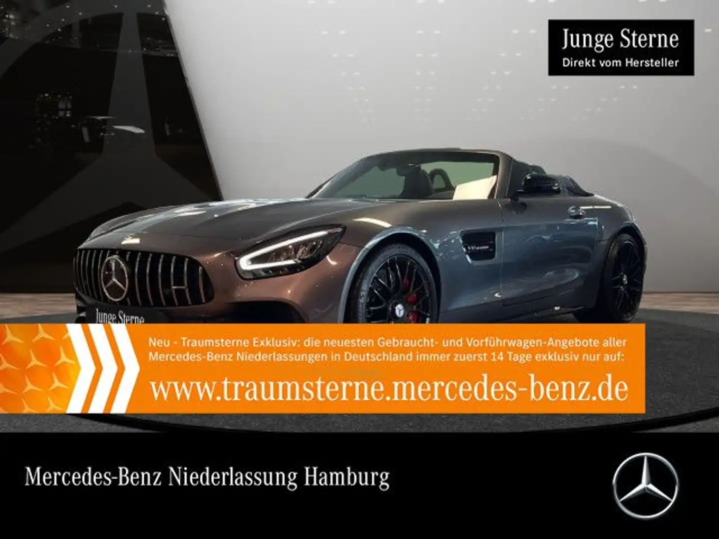 Mercedes-Benz AMG GT Perf-Sitze Perf-Abgas Sportpak Burmester Grau - 1