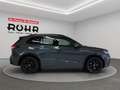 Volkswagen Tiguan R-line 2.0 TDI DSG(Garantie 11/2029.Navi.Standh..S Grau - thumbnail 5