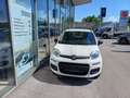 Fiat Panda 4x2 FireFly Hybrid 70 Pandina Weiß - thumbnail 2