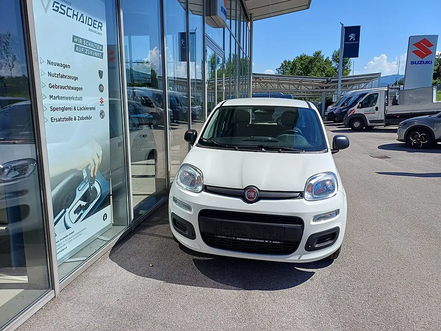 Fiat Panda 4x2 FireFly Hybrid 70 Pandina Weiß - 2