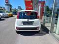 Fiat Panda 4x2 FireFly Hybrid 70 Pandina Weiß - thumbnail 5