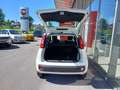 Fiat Panda 4x2 FireFly Hybrid 70 Pandina Weiß - thumbnail 6
