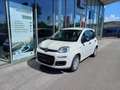 Fiat Panda 4x2 FireFly Hybrid 70 Pandina Weiß - thumbnail 1