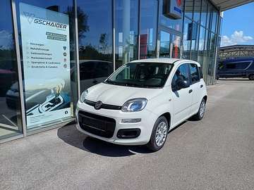 4x2 FireFly Hybrid 70 Pandina