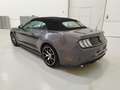 Ford Mustang * Ecoboost - Garantie - Cabrio * Gris - thumbnail 3