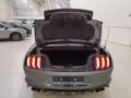 Ford Mustang * Ecoboost - Garantie - Cabrio * Gris - thumbnail 7