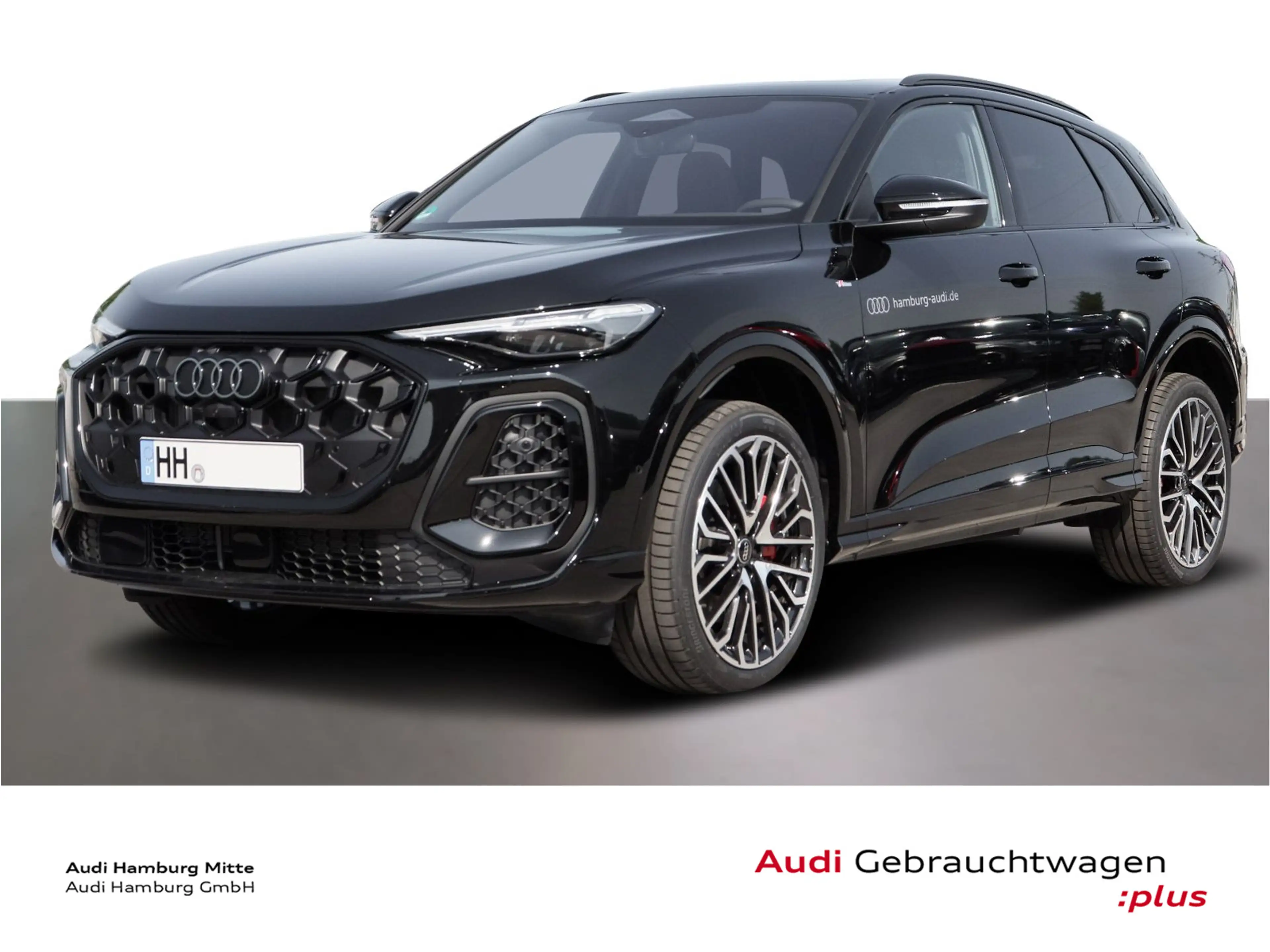 Audi Q5 TDI quattro 150 kW S tronic S line Pano Stand