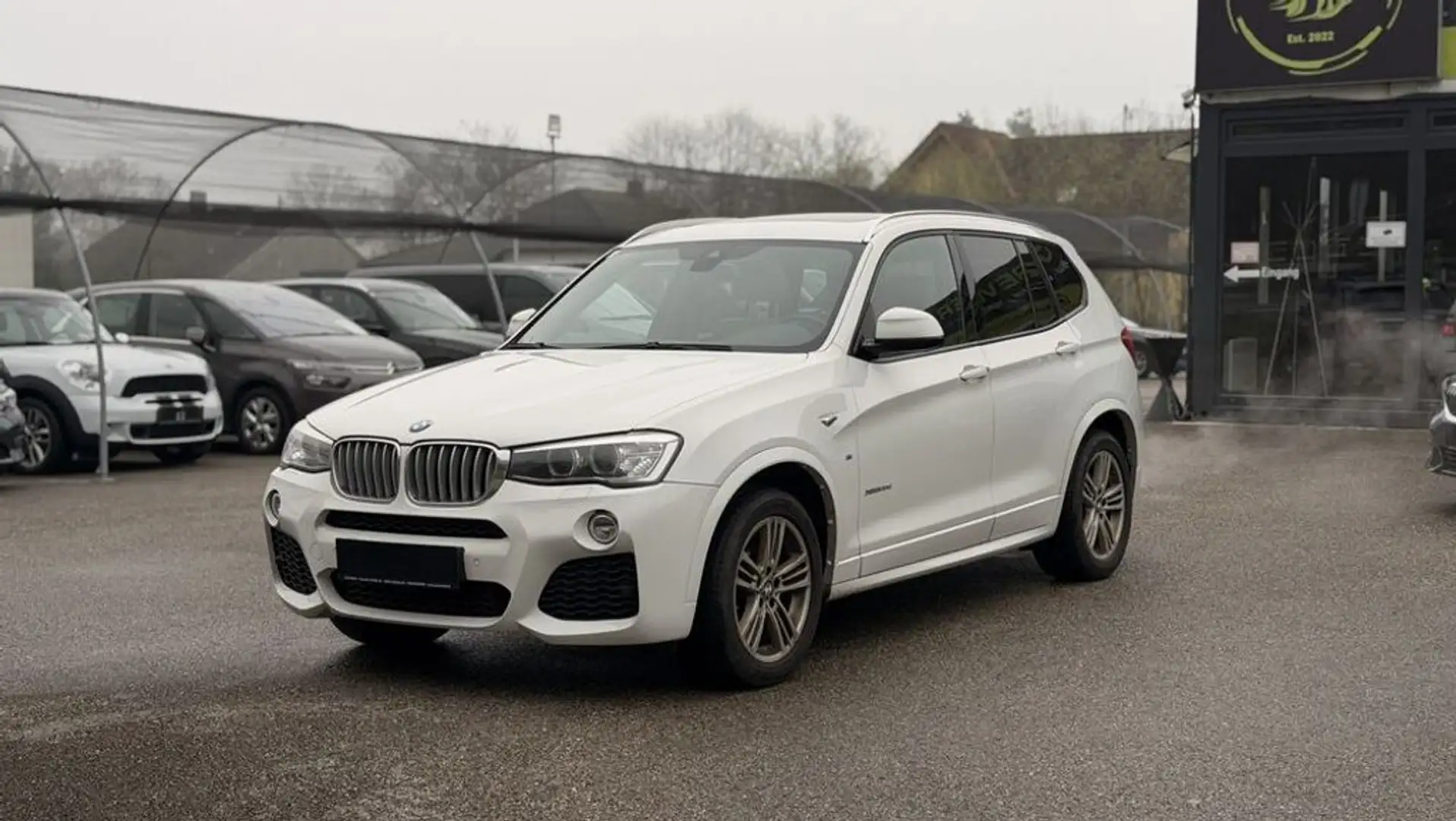 BMW X3 xDrive 30d **M-Paket/Panorama** Weiß - 1