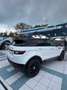 Land Rover Range Rover Evoque 2.0TD4 SE 4WD Aut. 150 Blanco - thumbnail 3