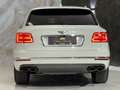 Bentley Bentayga First Edition W12 6,0 * AKRAPOVIC TITAN * MULLI... Weiß - thumbnail 14