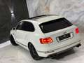 Bentley Bentayga First Edition W12 6,0 * AKRAPOVIC TITAN * MULLI... Weiß - thumbnail 13