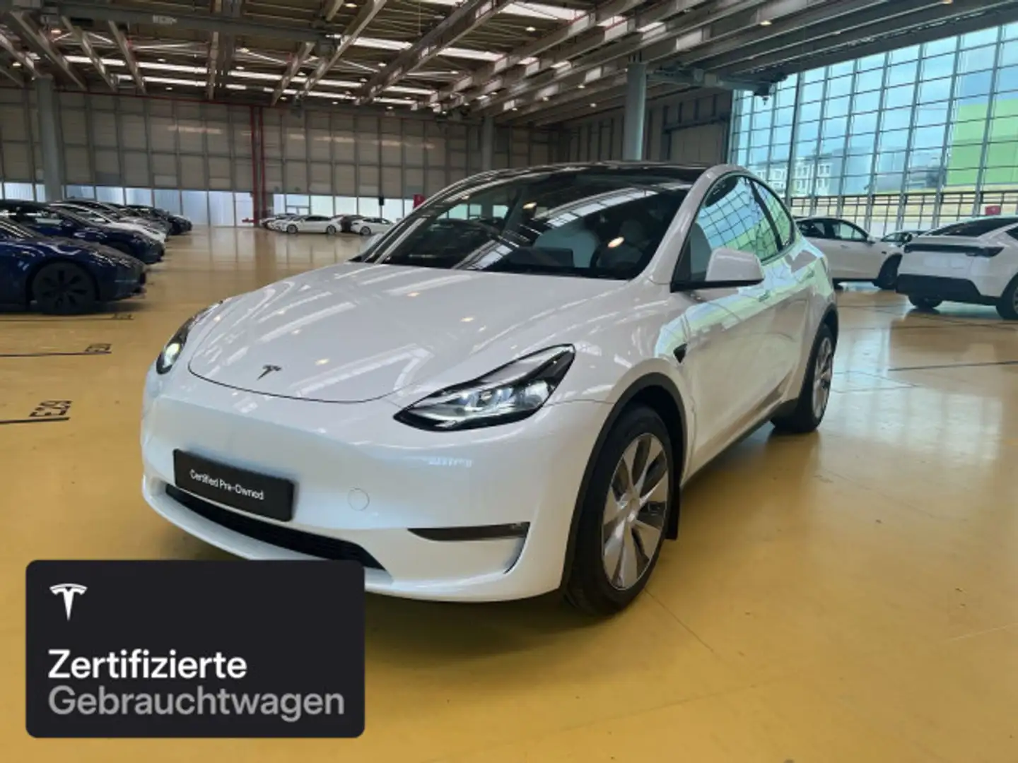Tesla Model Y Long Range AWD Weiß - 1