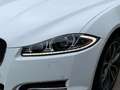 Jaguar XF SPORTBRAKE 3.0 V6 Diesel S D++Automatik++Scheckhef Bílá - thumbnail 5