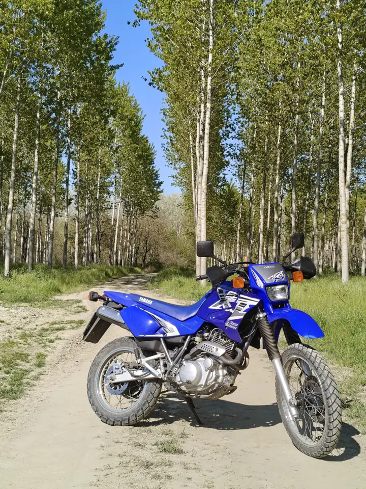 Yamaha XT 600
