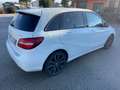 Mercedes-Benz B 200 Classe B - T246 d (cdi) Premium 4matic auto Bianco - thumbnail 3