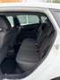 Ford Fiesta 1.5 tdci - NEOPATENTATI - 12 MESI DI GARANZIA - Weiß - thumbnail 10