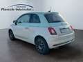 Fiat 500 1.2 Collezione Navi Apple CarPlay Android Auto Kli Grün - thumbnail 3