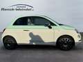 Fiat 500 1.2 Collezione Navi Apple CarPlay Android Auto Kli Grün - thumbnail 6