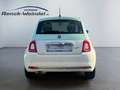 Fiat 500 1.2 Collezione Navi Apple CarPlay Android Auto Kli Grün - thumbnail 4