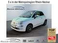 Fiat 500 1.2 Collezione Navi Apple CarPlay Android Auto Kli Grün - thumbnail 1