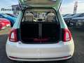 Fiat 500 1.2 Collezione Navi Apple CarPlay Android Auto Kli Grün - thumbnail 16