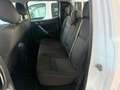 Ford Ranger Ranger VII 2019 2.0 ecoblue double cab XLT 170cv Bianco - thumbnail 15