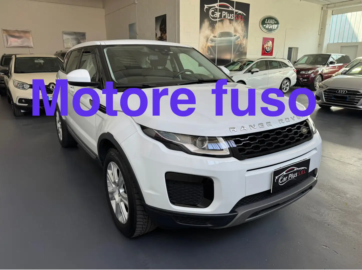 Land Rover Range Rover Evoque Motore fuso Range Rover Evoque 5p 2.0 td4 SE Blanc - 1