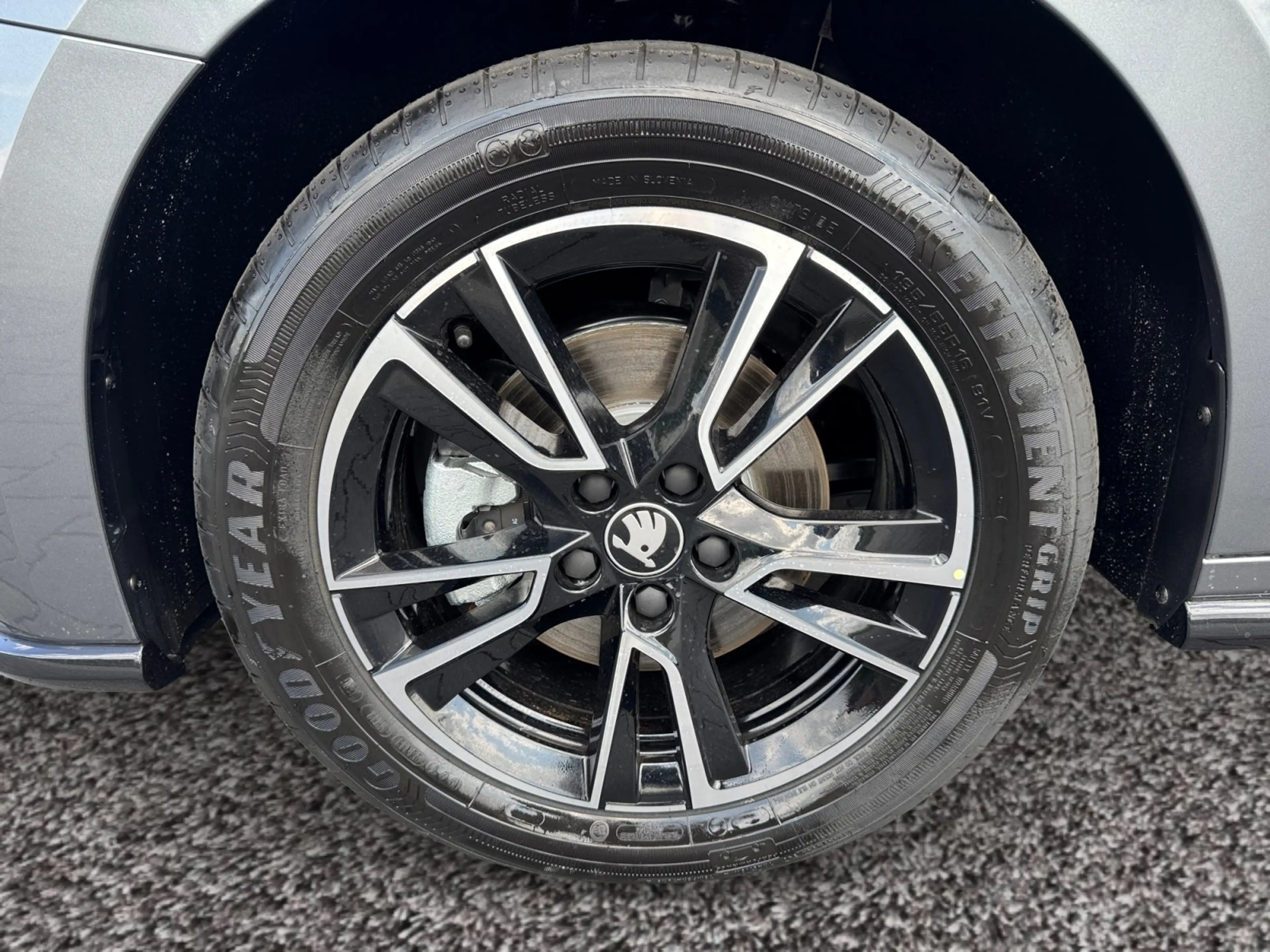 Skoda Fabia Monte Carlo TSI DSG|5J-GAR|KAMERA|SITZHZG — photo 8