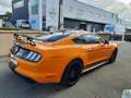 Ford Mustang VI (2) FASTBACK 5.0 V8 GT BV6 Goud - thumbnail 6