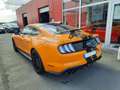 Ford Mustang VI (2) FASTBACK 5.0 V8 GT BV6 Goud - thumbnail 4