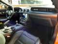 Ford Mustang VI (2) FASTBACK 5.0 V8 GT BV6 Goud - thumbnail 11