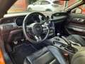 Ford Mustang VI (2) FASTBACK 5.0 V8 GT BV6 Goud - thumbnail 8