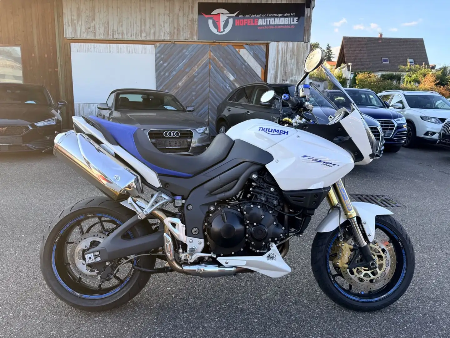 Triumph Tiger 1050 Blanc - 1