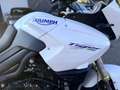 Triumph Tiger 1050 Blanc - thumbnail 6