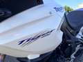 Triumph Tiger 1050 Blanc - thumbnail 11